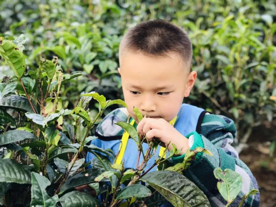 西雙版納研學(xué)旅行夏令營