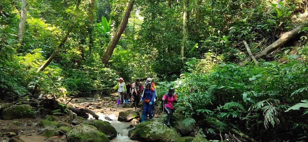 西雙版納研學(xué)