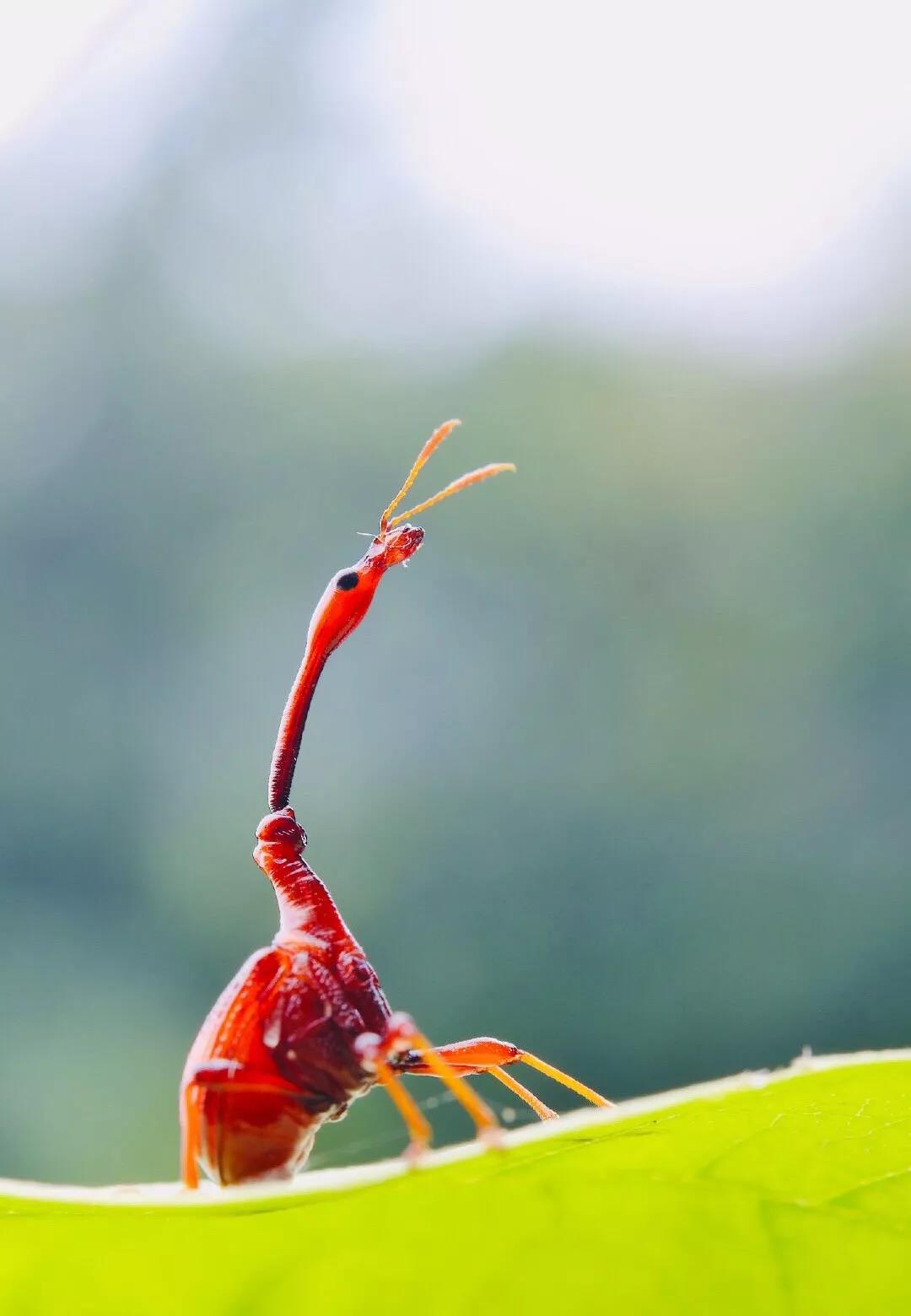 西雙版納研學(xué)