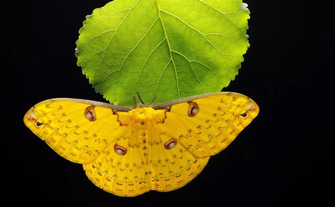 西雙版納研學(xué)夏令營