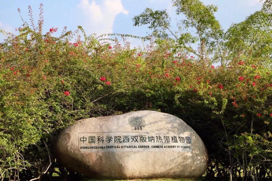 西雙版納研學(xué)旅行社