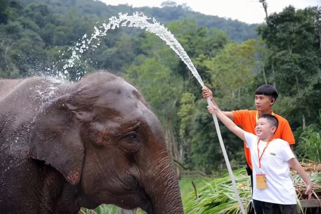 西雙版納夏令營