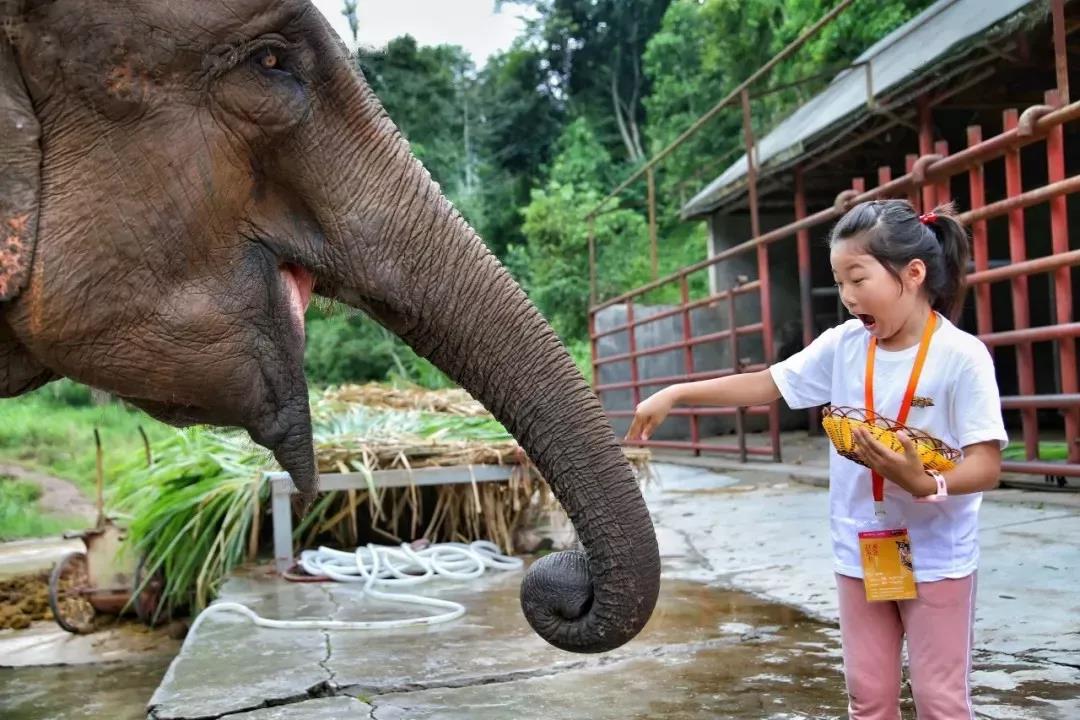 西雙版納研學(xué)夏令營