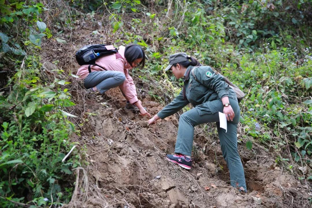 西雙版納研學(xué)夏令營