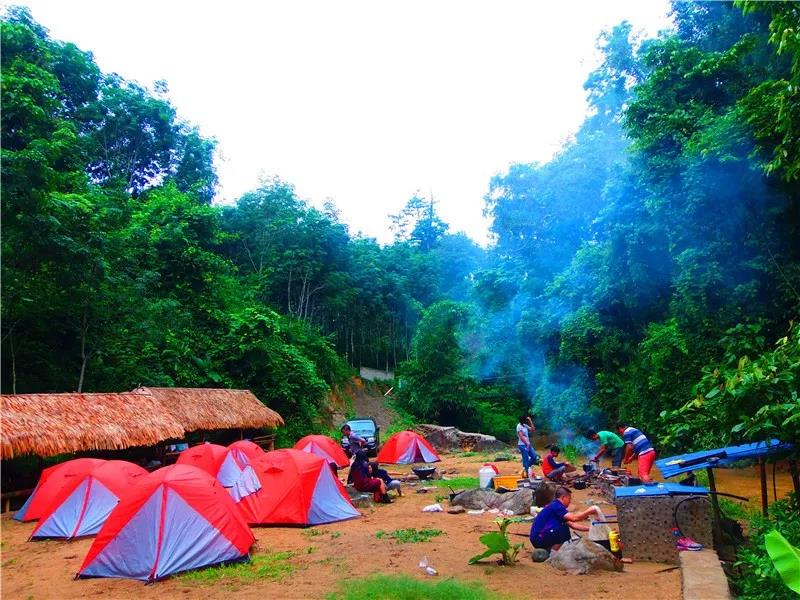 西雙版納夢(mèng)幻星球：雨林，傣鄉(xiāng)，動(dòng)植物王國，綠色環(huán)保教育7天6晚探秘營