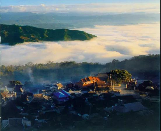 西雙版納研學夏令營