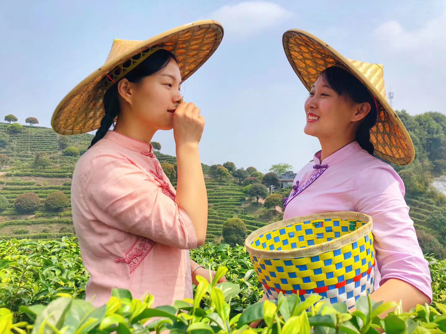 西雙版納研學夏令營