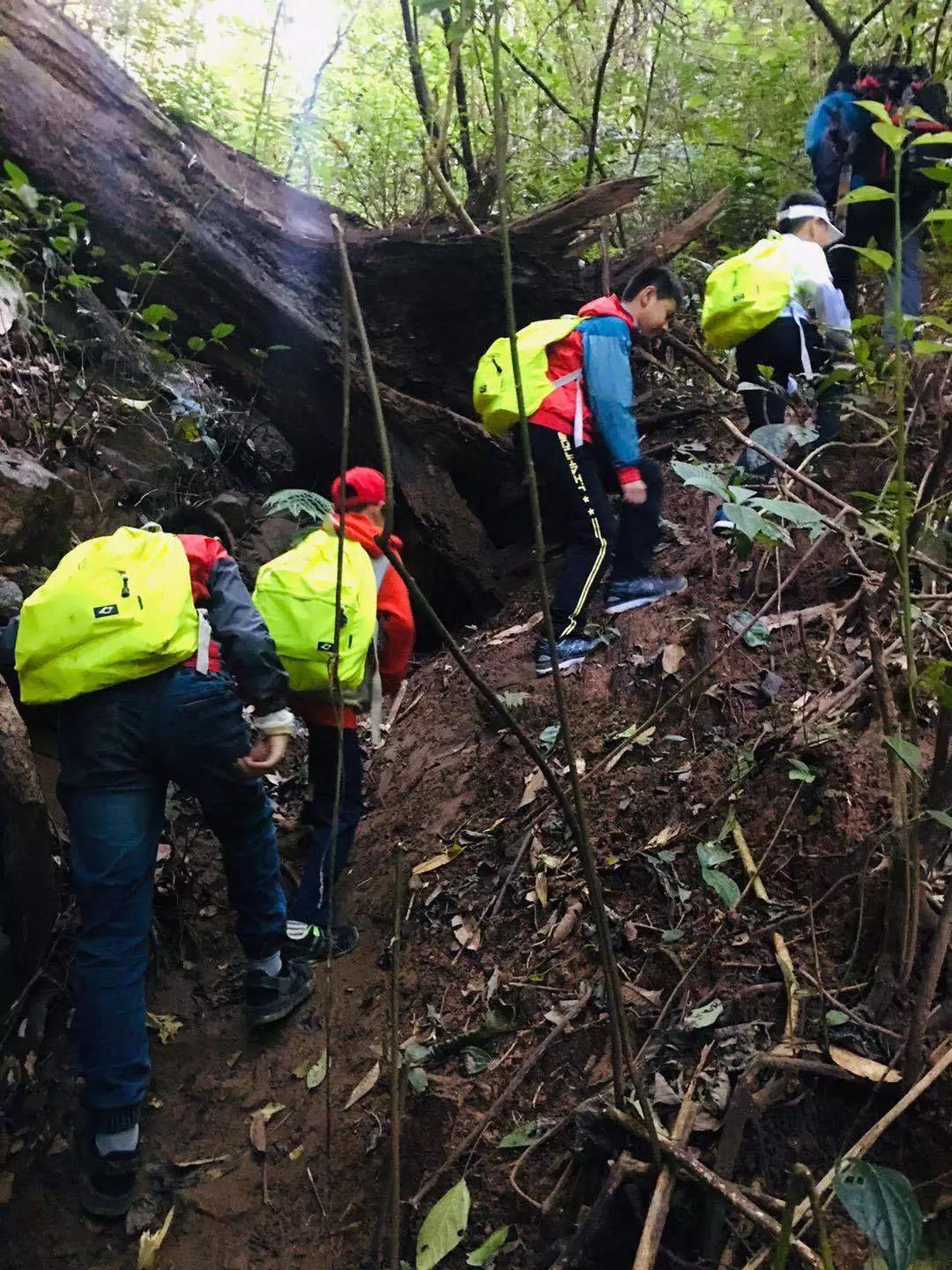 西雙版納研學(xué)夏令營