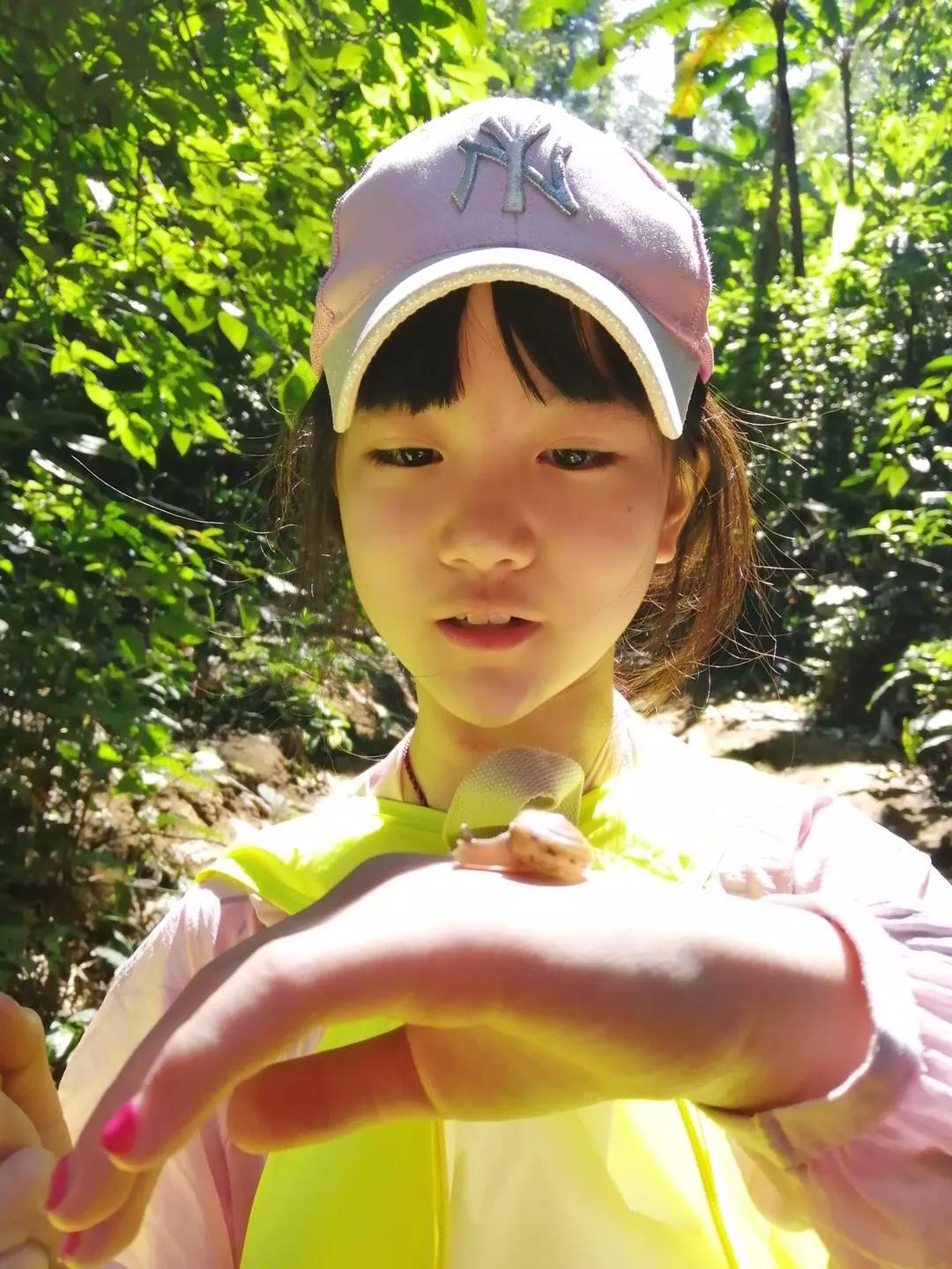 西雙版納研學(xué)夏令營