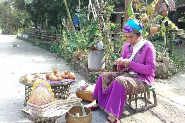 西雙版納研學(xué)夏令營