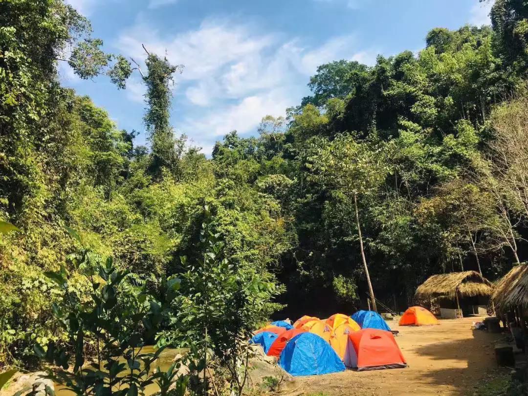 西雙版納研學(xué)夏令營