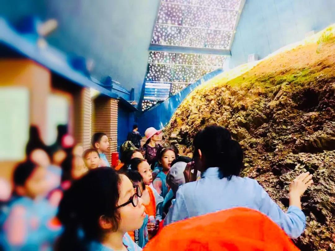 西雙版納研學夏令營