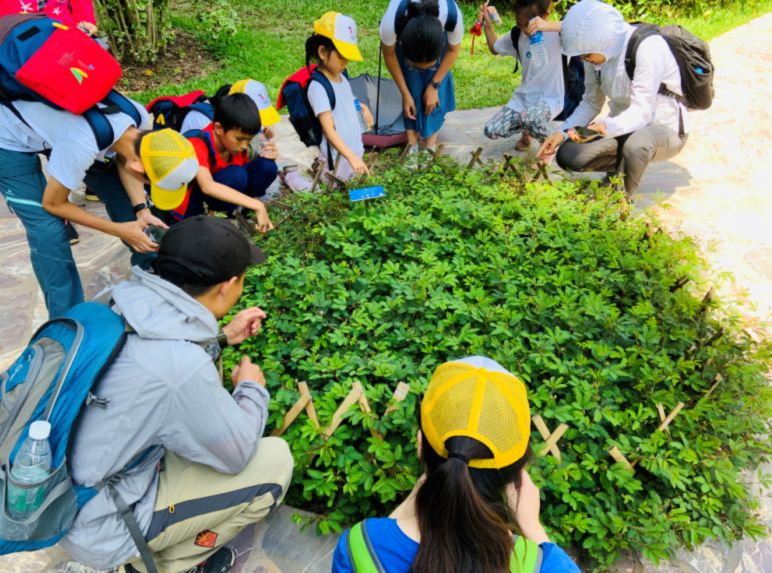 西雙版納研學夏令營