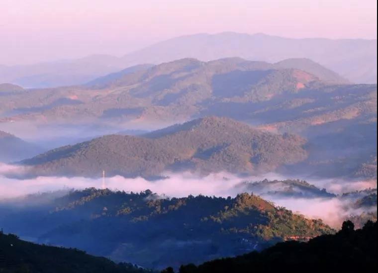 西雙版納研學夏令營