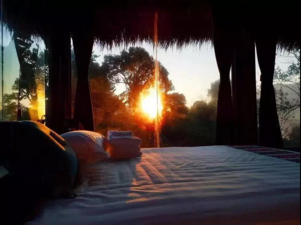 西雙版納研學夏令營