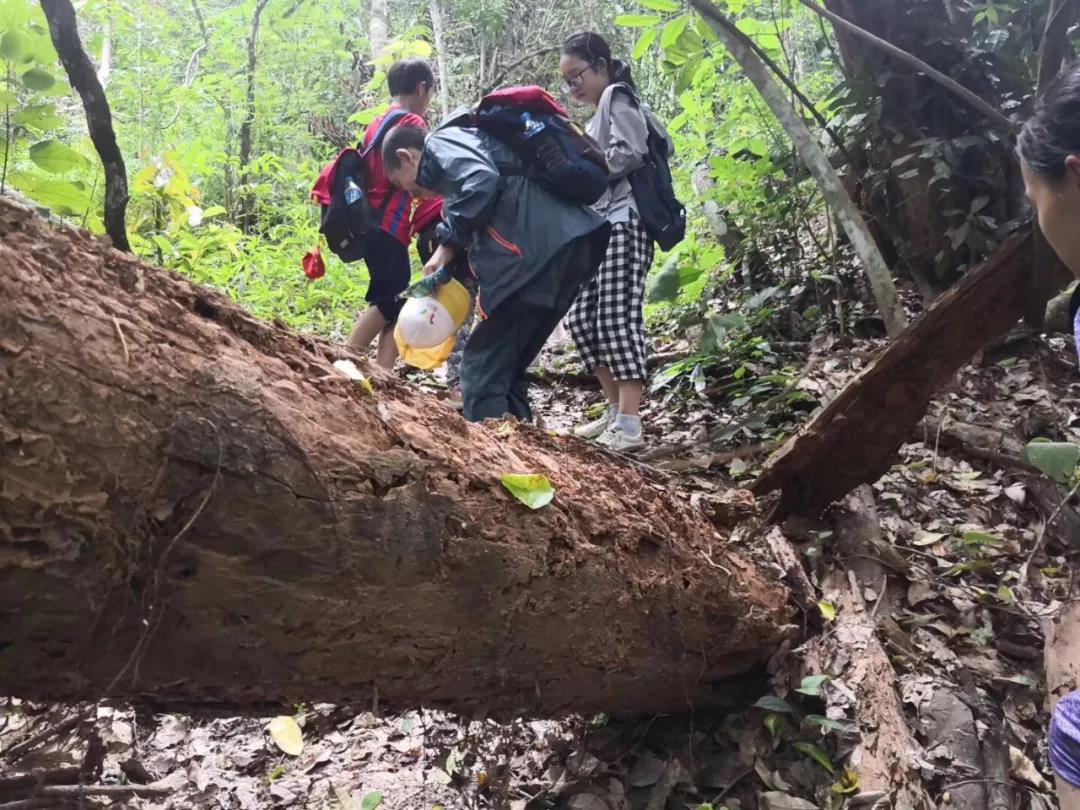 西雙版納研學夏令營