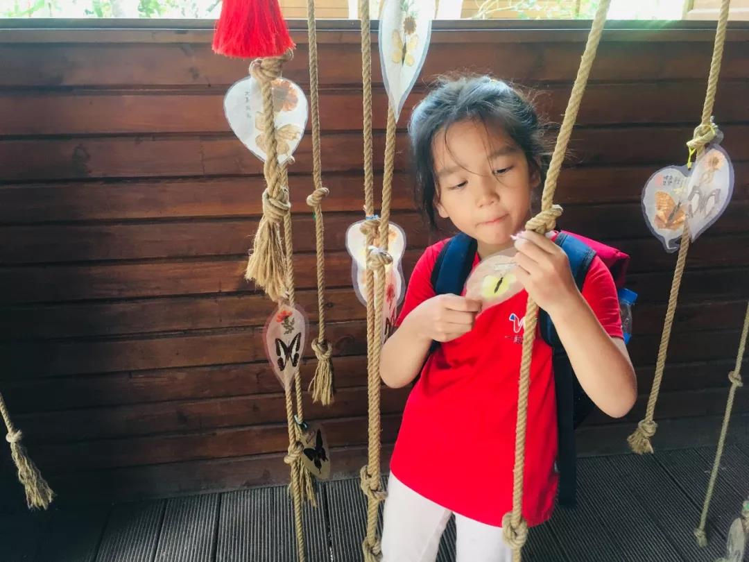 西雙版納研學夏令營