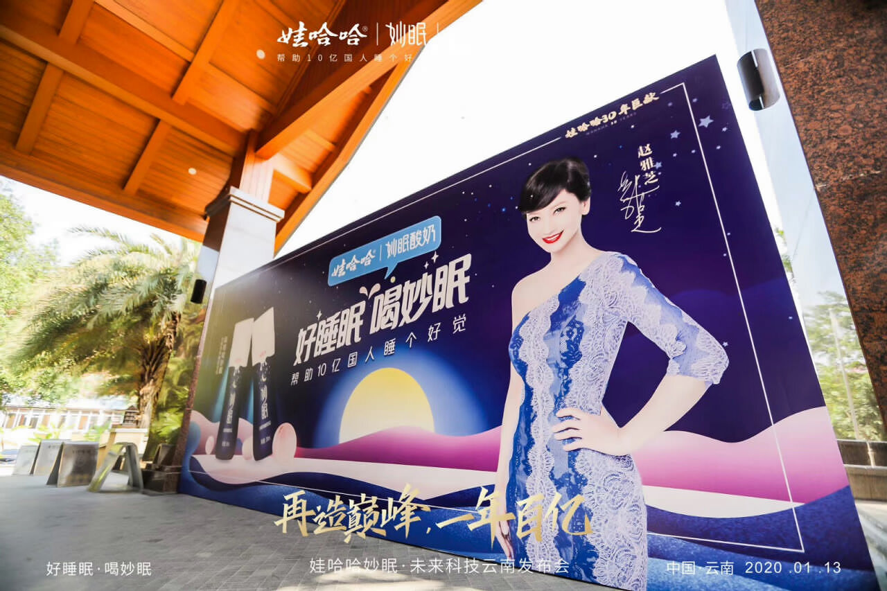 西雙版納會議策劃