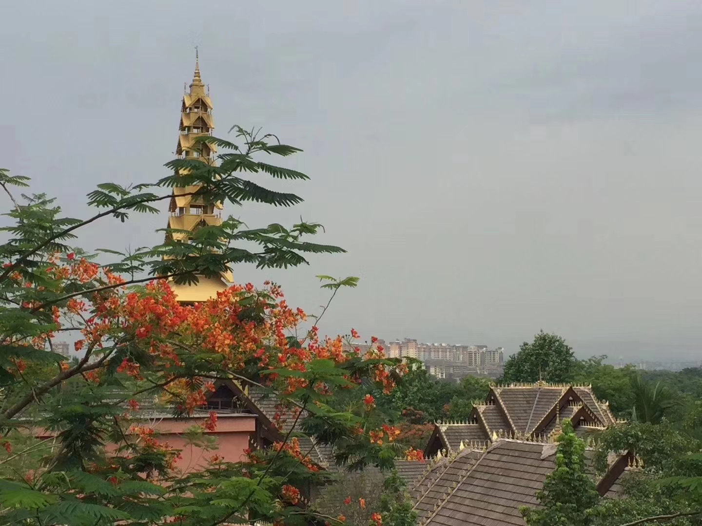 西雙版納會議旅游