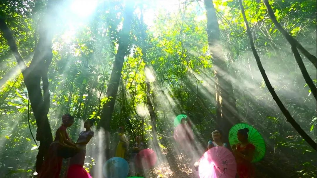 西雙版納會議旅游 西雙版納會議旅游