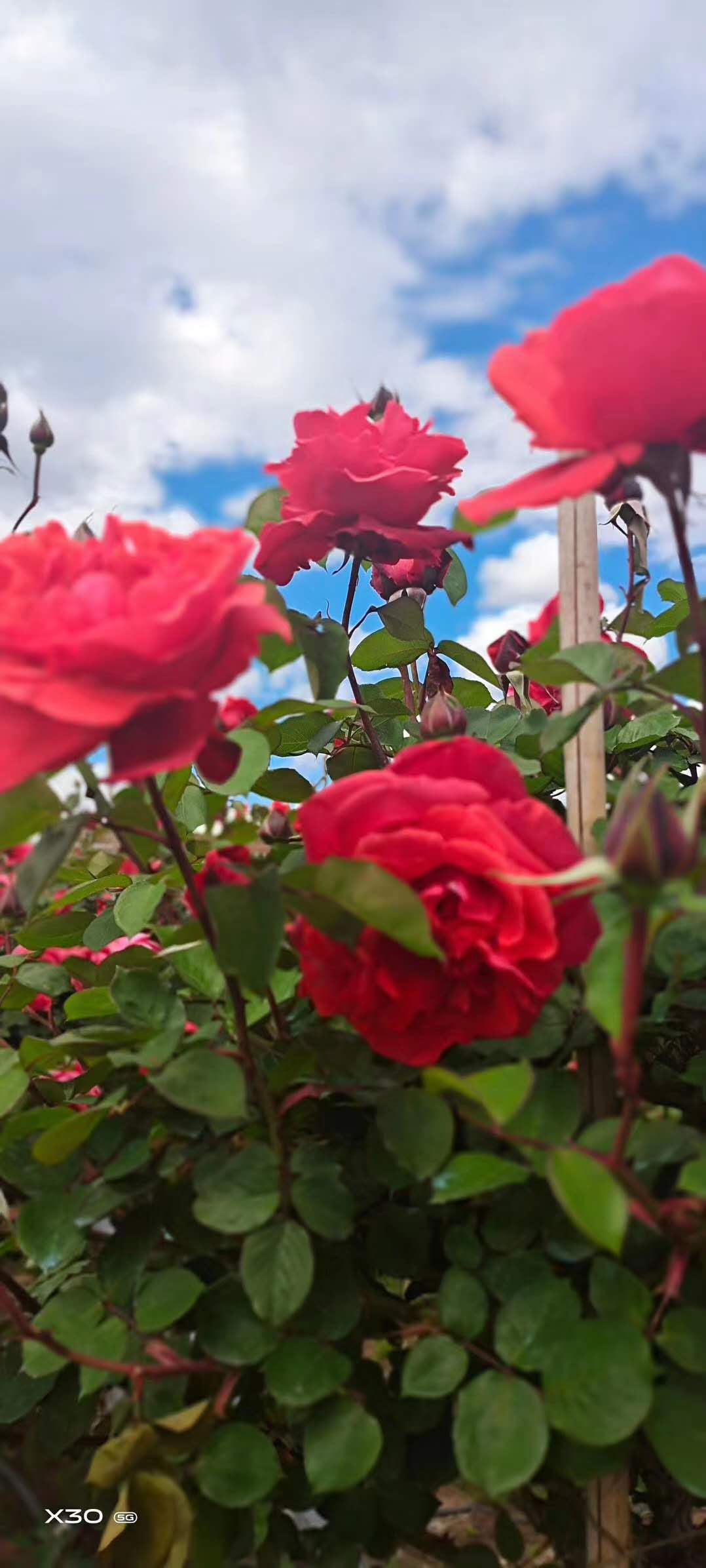 西雙版納戶外拓展基地