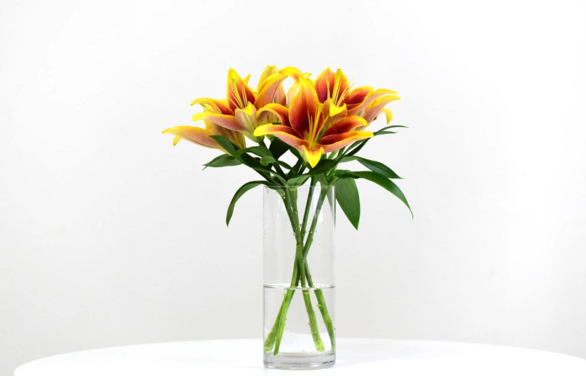 西雙版納 西雙版納