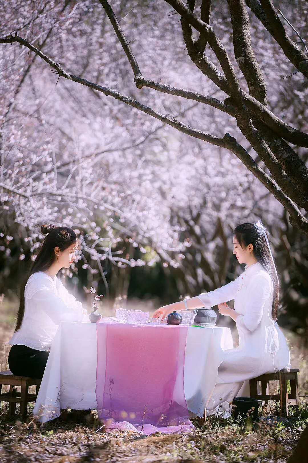 西雙版納 西雙版納