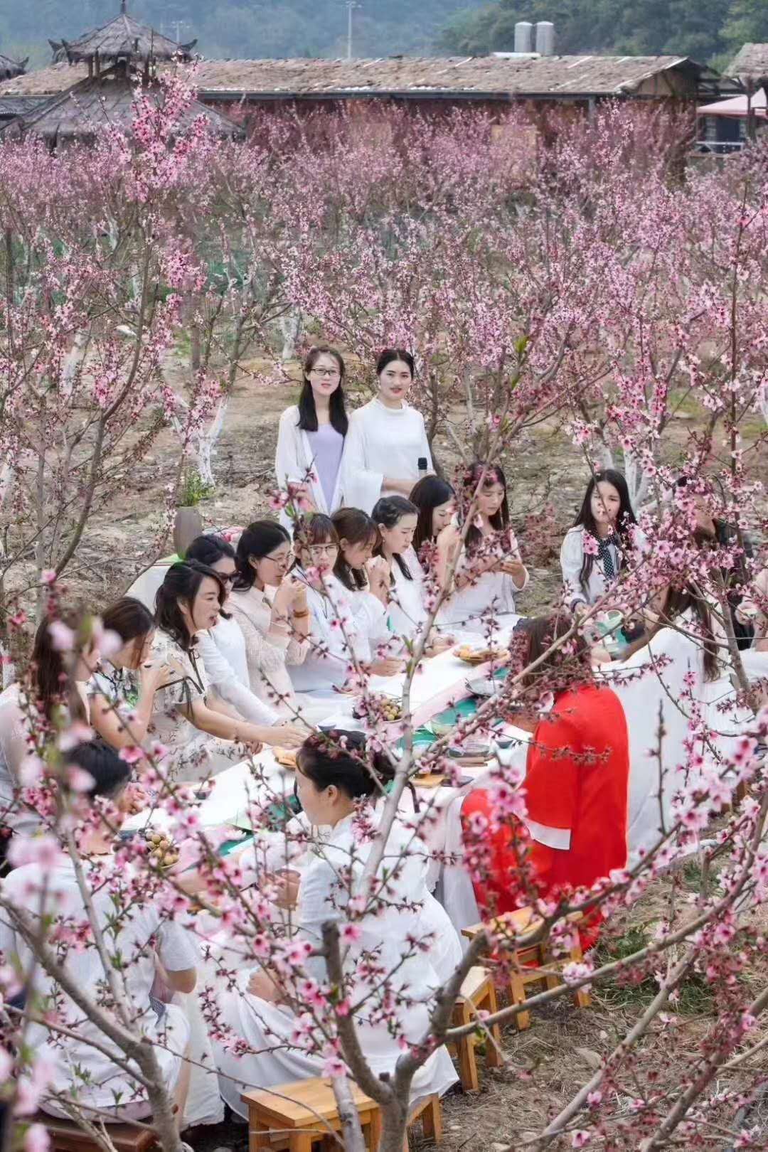 西雙版納 西雙版納