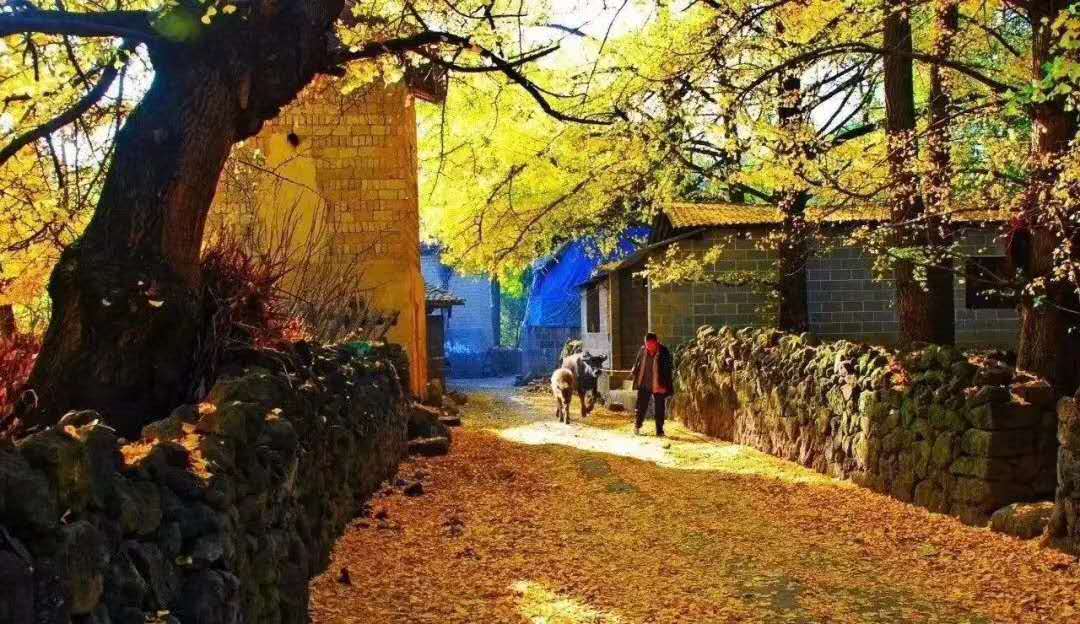 西雙版納 西雙版納