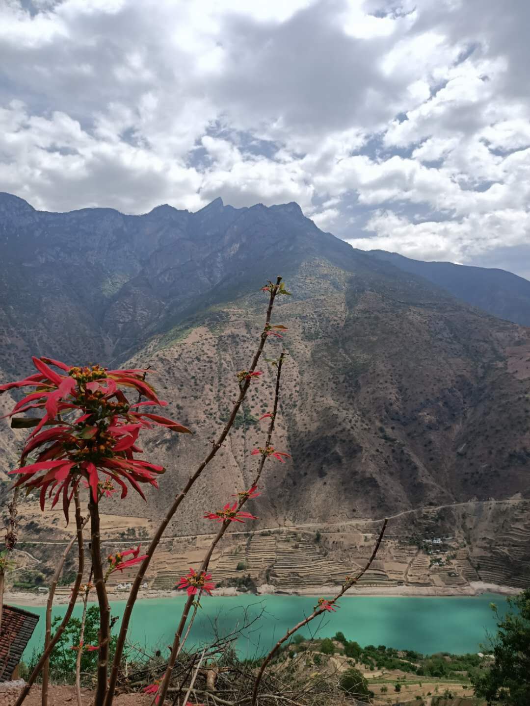 西雙版納 西雙版納