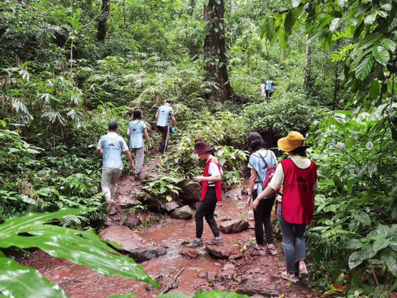 西雙版納熱帶雨林徒步穿越拓展團建