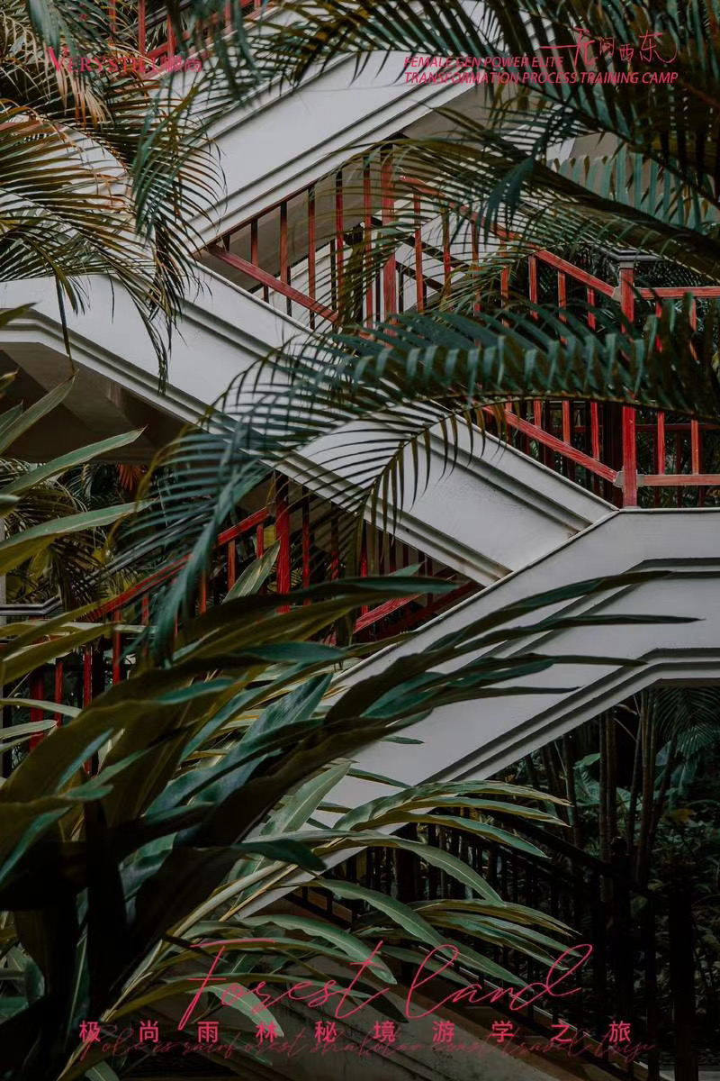 西雙版納喜來(lái)登酒店游學(xué)之旅