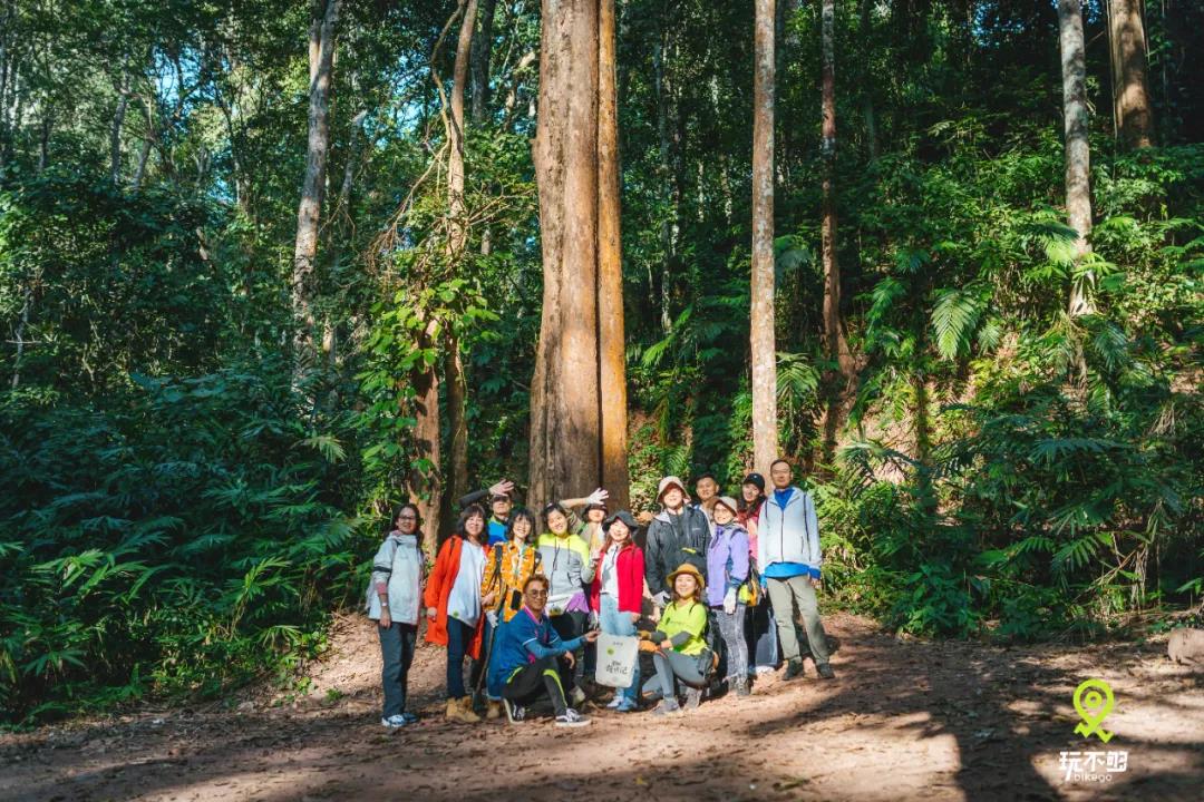 冬天就去西雙版納！擼小熊貓、住進大自然，邂逅25℃的溫暖