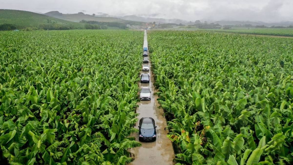 西雙版納試乘試駕