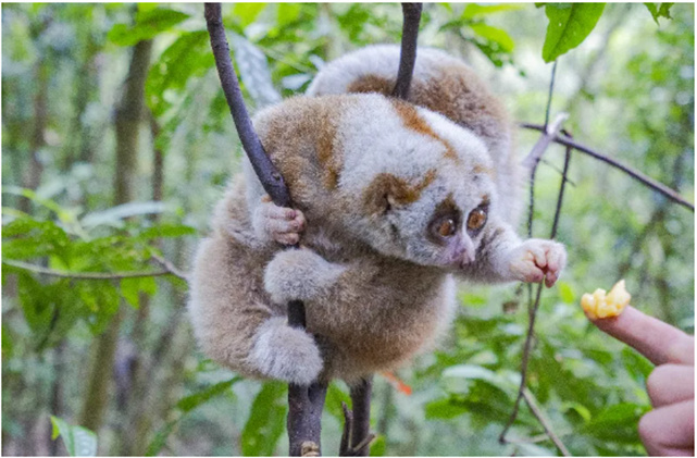 “三大世界級資源” 打造文旅放心消費標桿