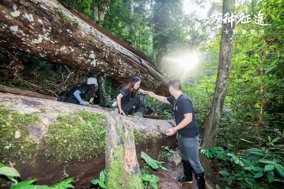 步穿越西雙版中國的亞馬遜熱帶雨林大型團(tuán)建體驗(yàn)