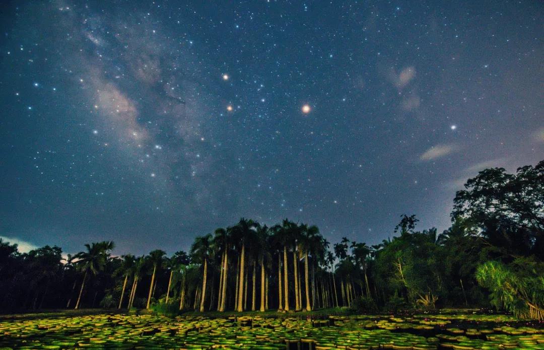 全國斷崖式降溫，西雙版納給你發(fā)旅行邀請函了    西雙版納傳媒公司