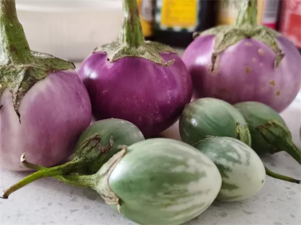 西雙版納特色美食推薦：快來看看西雙版納這些Mini食材