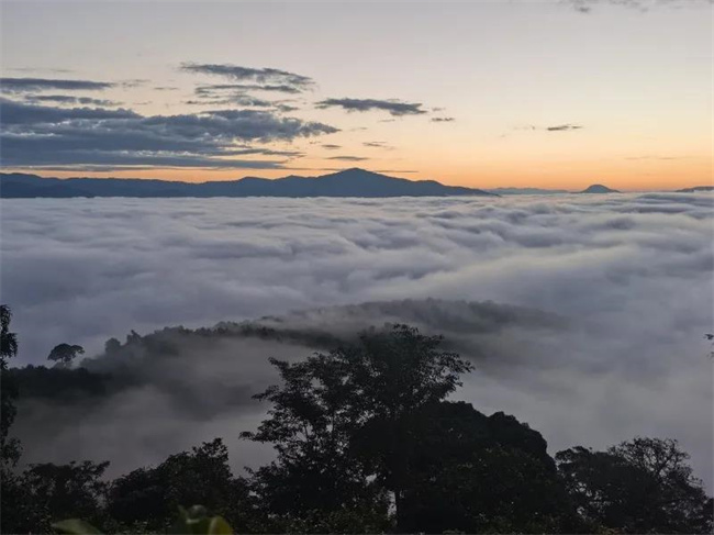 西雙版納傳媒公司：這個冬天快來版納看云海吧！