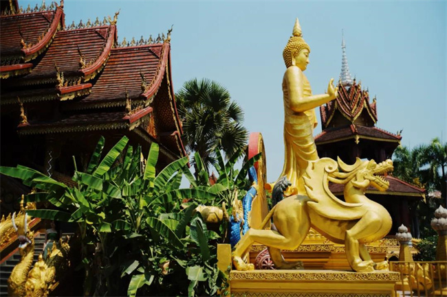 中老鐵路開通，解鎖西雙版納研學(xué)新路線，小眾特色超適合親子游