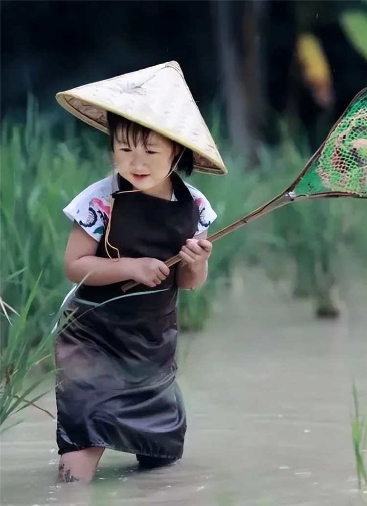 西雙版納旅游 西雙版納旅游