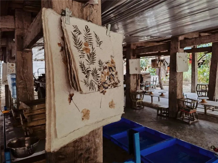 西雙版納周邊游推薦：水中摸魚，田里插秧，這個周末我們田野相見