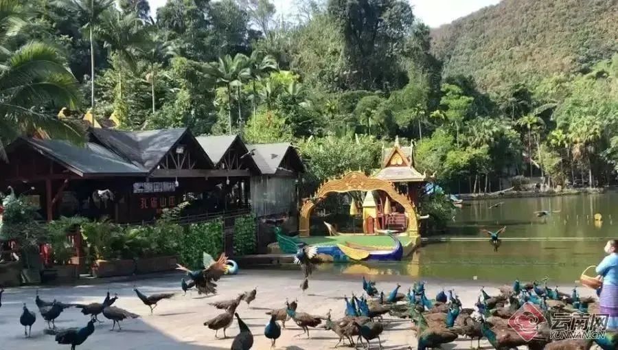 西雙版納定制游