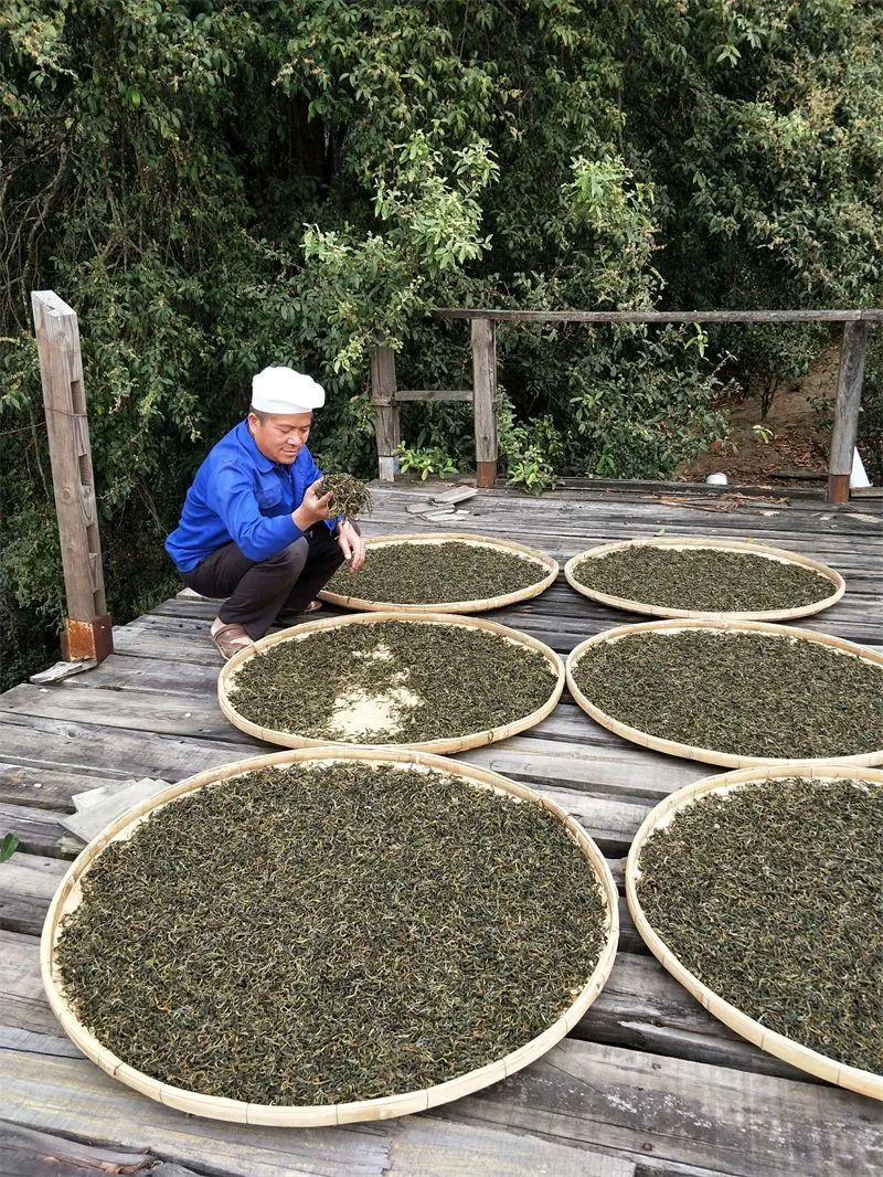 西雙版納伴手禮