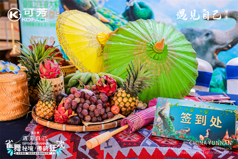 西雙版納會(huì)議會(huì)展活動(dòng)策劃案例