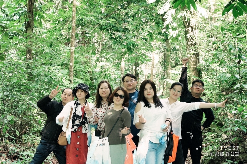 勐遠(yuǎn)仙境現(xiàn)場(chǎng)