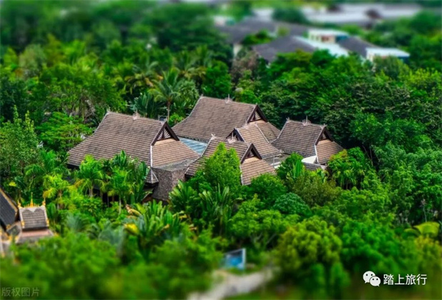 去西雙版納，這8大景點一定要去一次