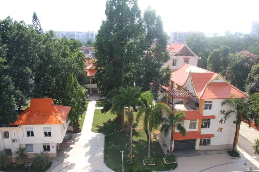 樂享云南 | 美景·西雙版納南藥園