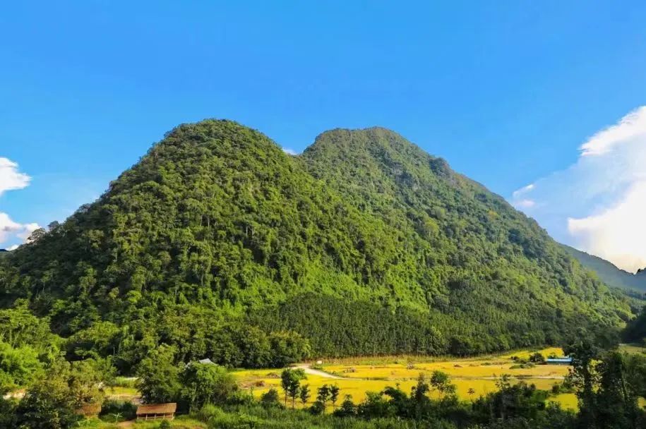 探索夢幻秘境，解鎖勐遠(yuǎn)仙境：一場說走就走的自然奇遇之旅