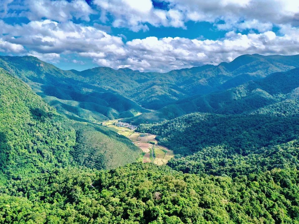 勐遠(yuǎn)仙境：解鎖雨林奇趣，體驗(yàn)靈魂療愈之旅